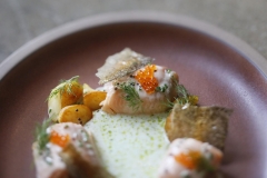 Sunburst trout with fingerling potato and smoked trout roe at FT33 on October 28, 2014.  (Kye R. Lee/The Dallas Morning News)