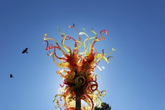 NG_23ChihulyGlass08