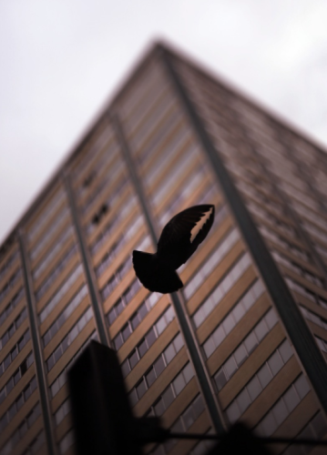 DFW-Commercial-Photographers-Kye-Lee-37-1